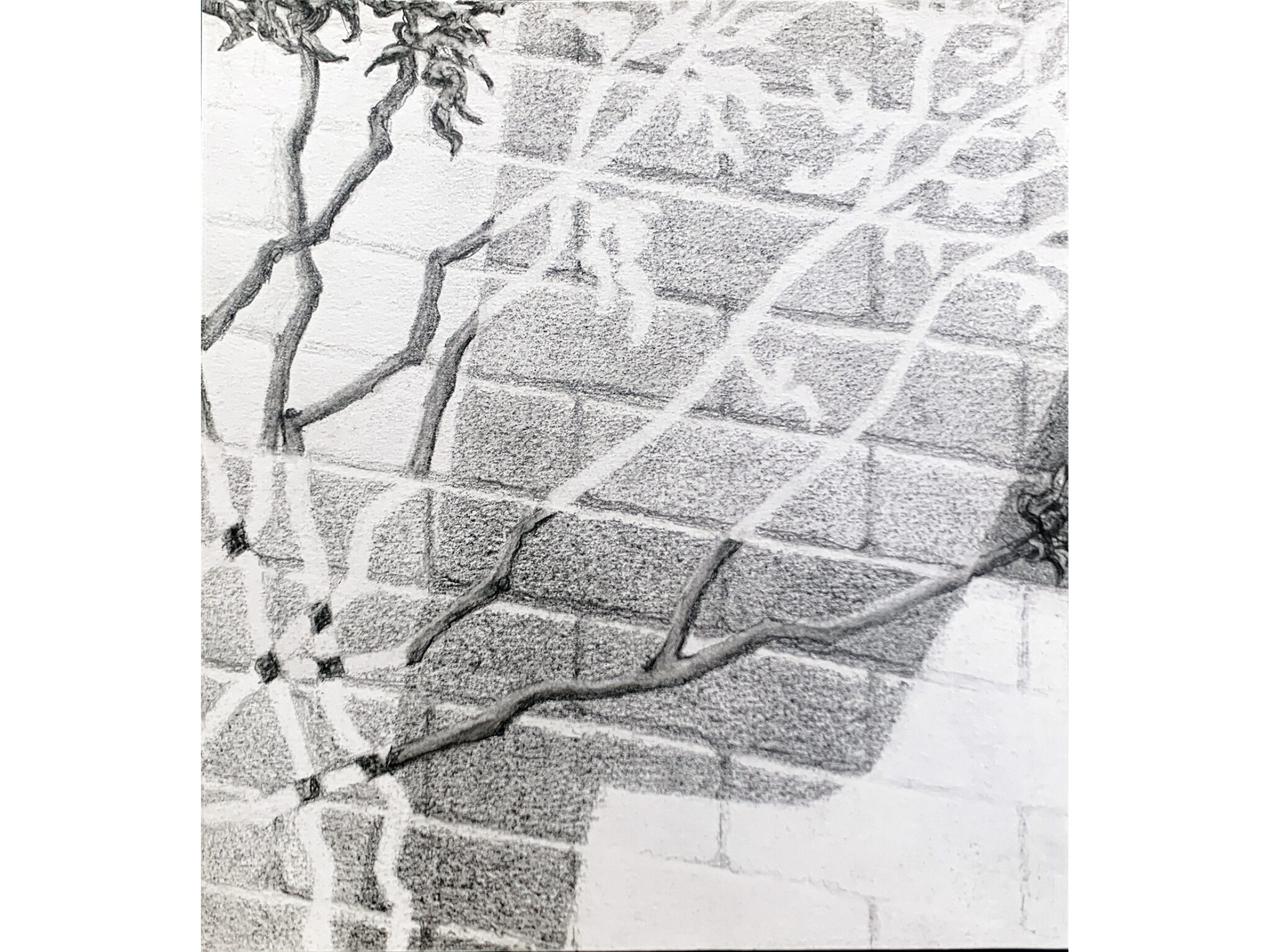 Moonlight, light,  pencil on paper 21x19 cm, 2022