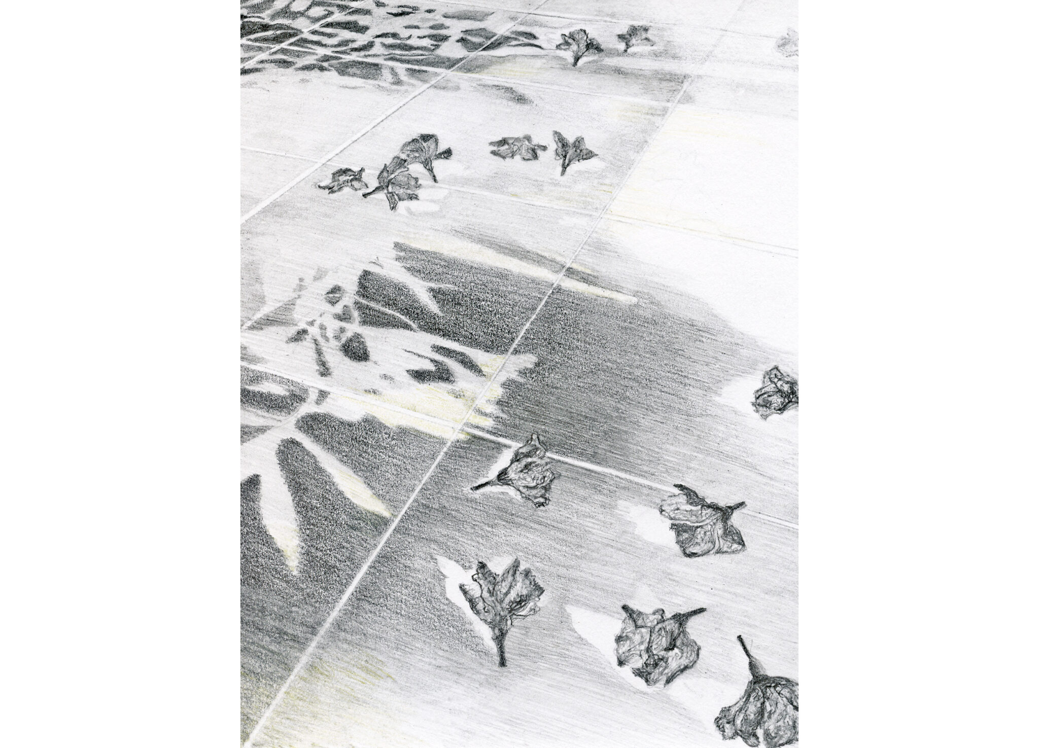 Collect, balance, fall 1 , pencil on paper,  20,5x15,5cm, 2022