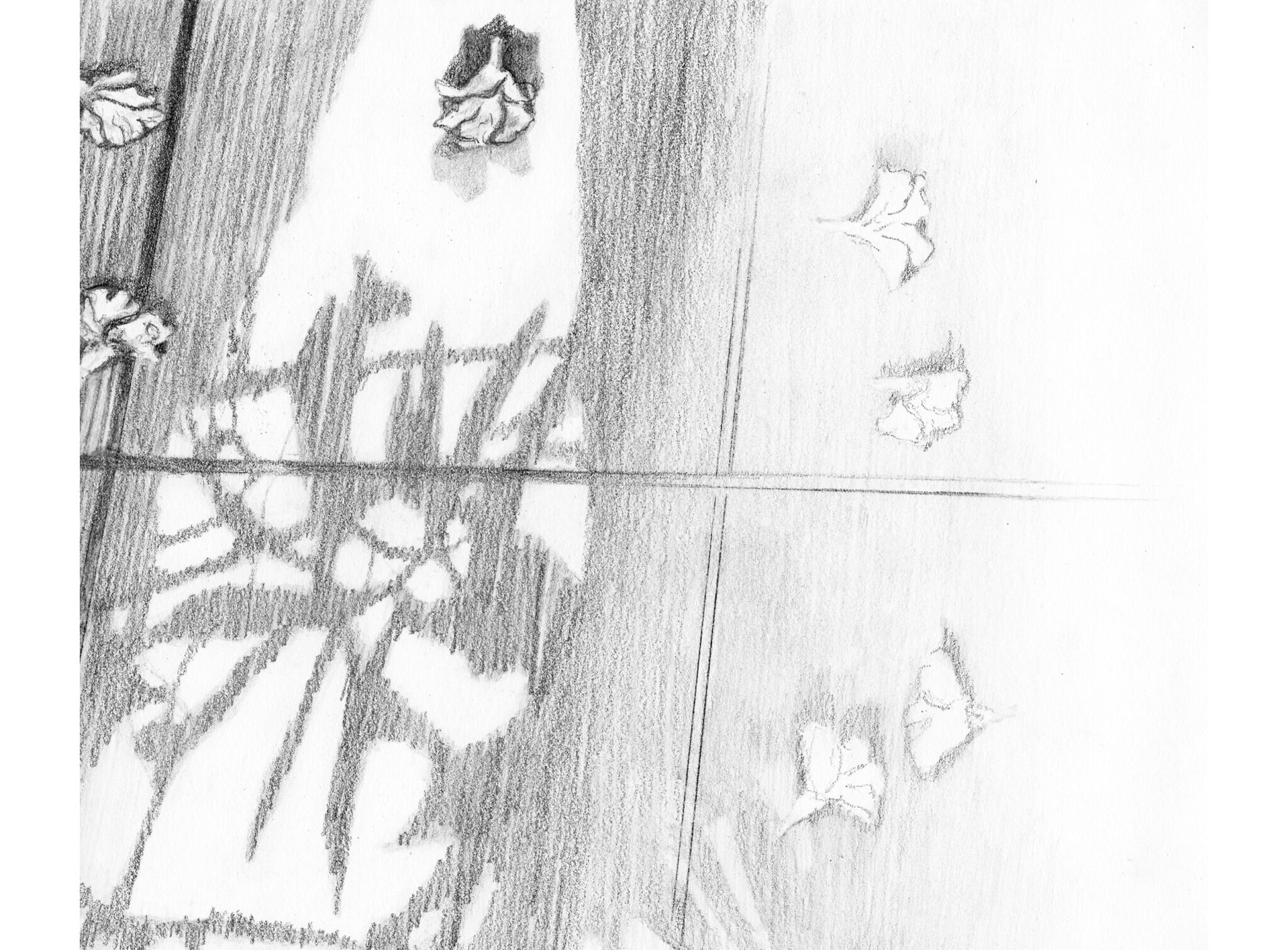 Collect, balance, fall 2, pencil on paper  21x25cm, 2022