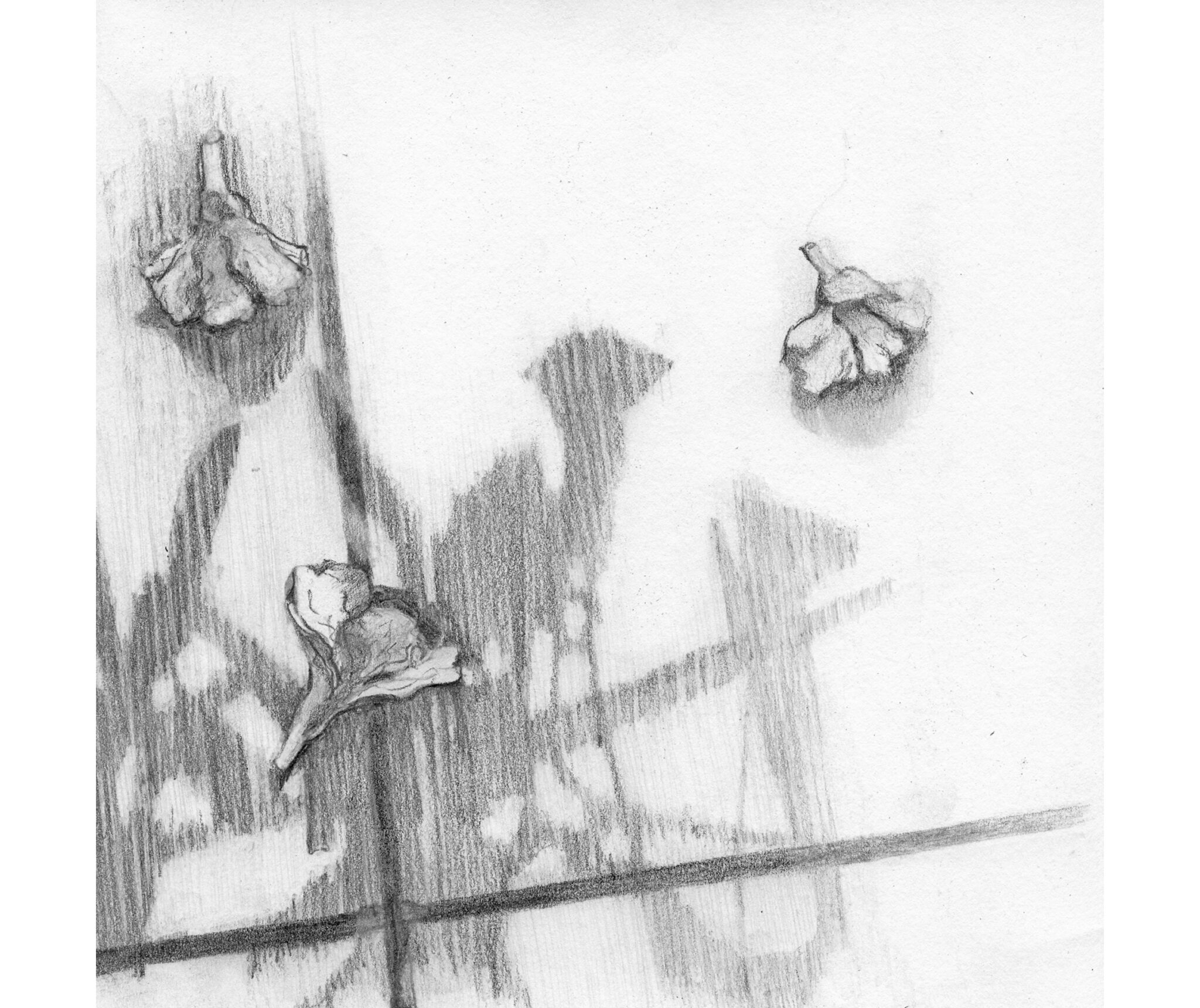 COLLECT, BALANCE AND FALL donderdag 11:07u., pencil on paper, 21x21 cm, 2022